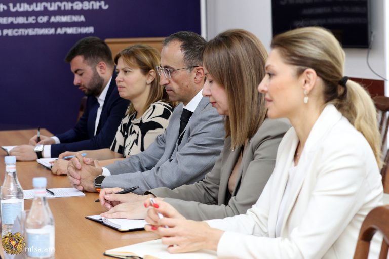 Incontro con il Ministro del Lavoro e degli Affari Sociali Arsen Torosyan 3