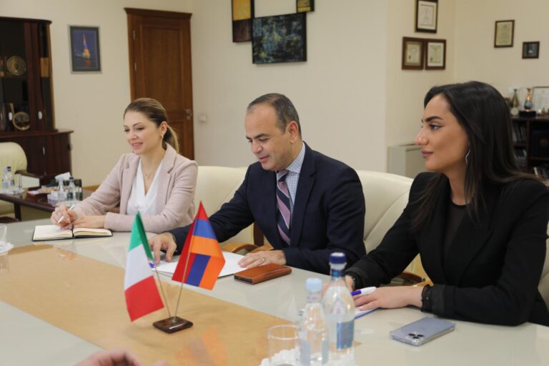 Incontro con Zareh Sinanyan 2